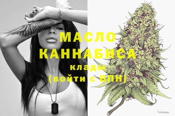 дмт Киреевск