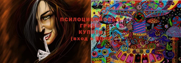 дмт Киреевск