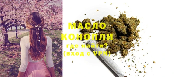 дмт Киреевск
