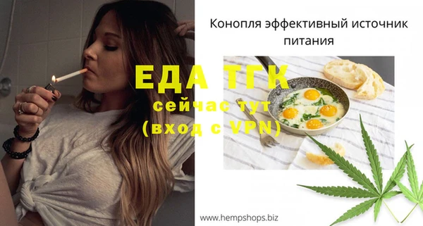 дмт Киреевск